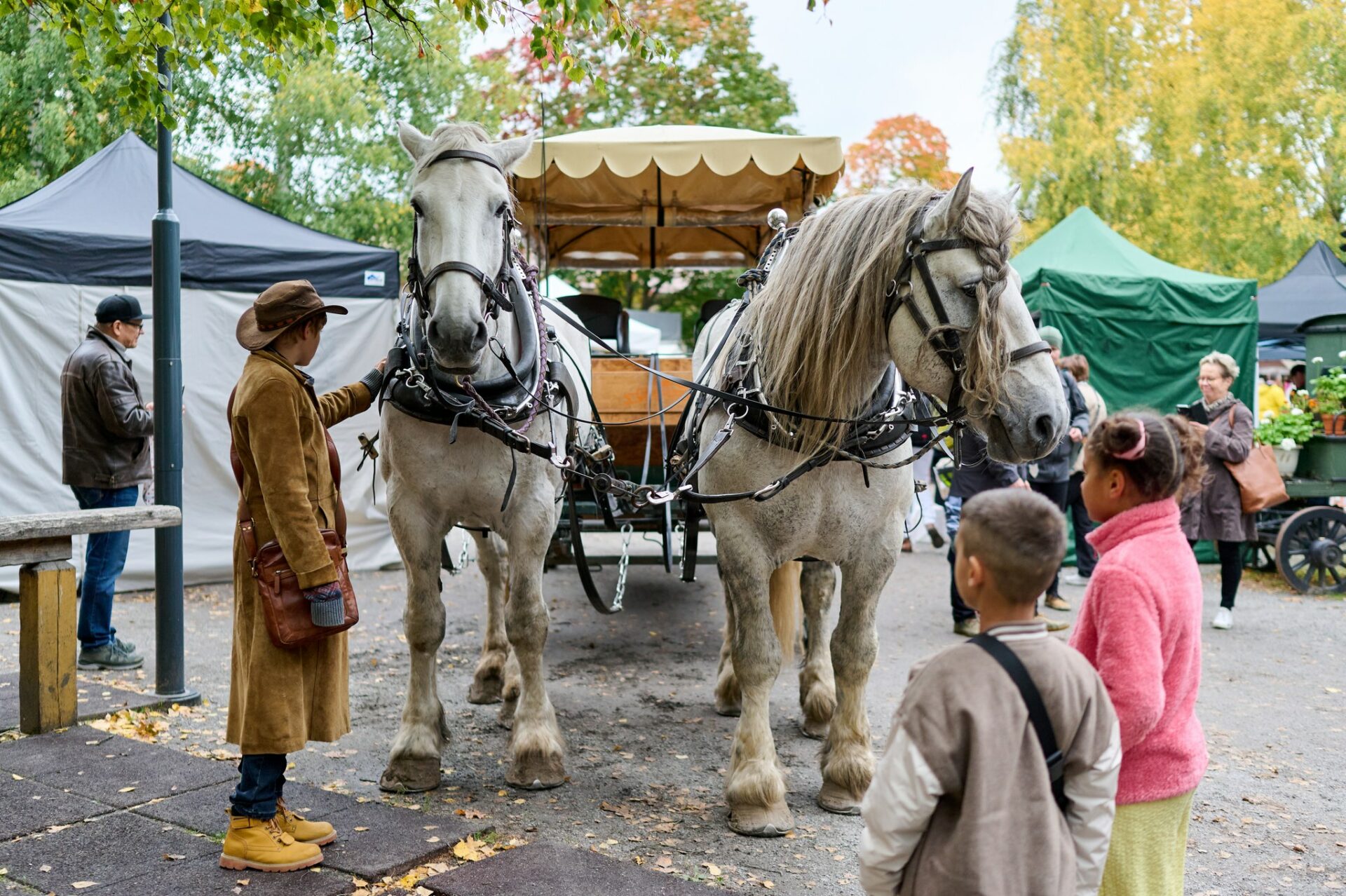 The two-day Big Craft Event in the Tallipiha included pony rides, horse-drawn carriage rides and live music.